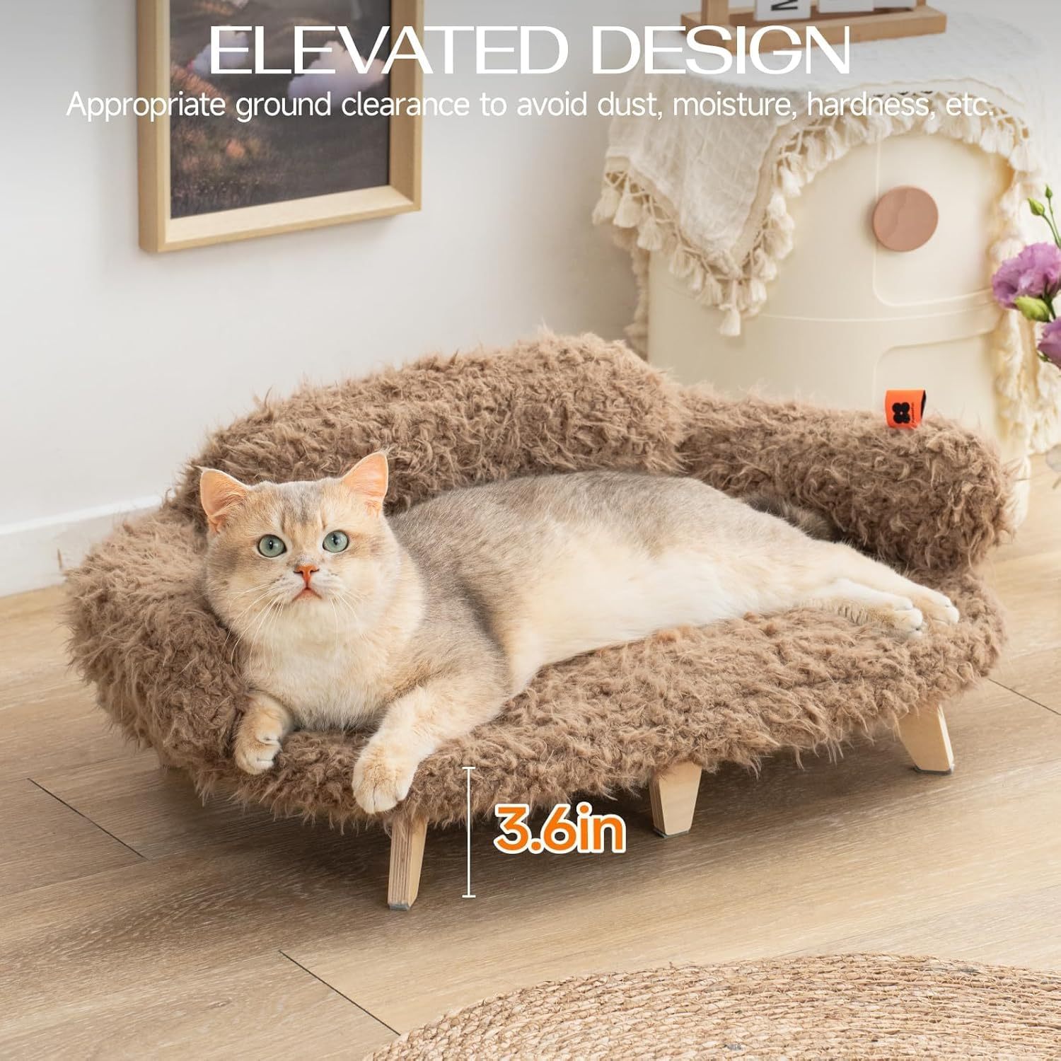 Cat Couch!