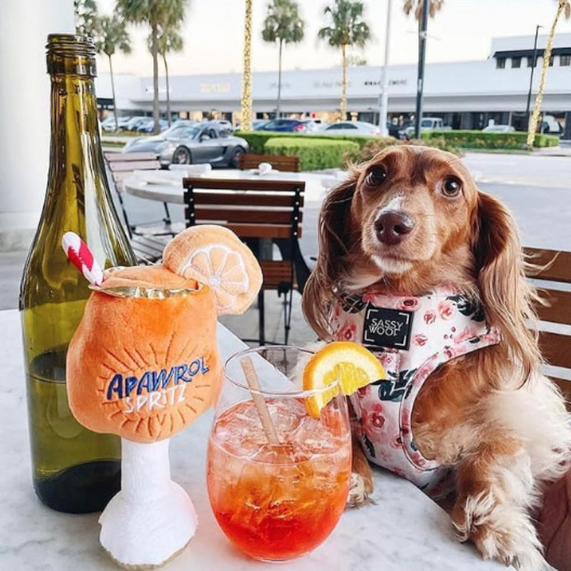 Apawrol Spritz Dog Toy