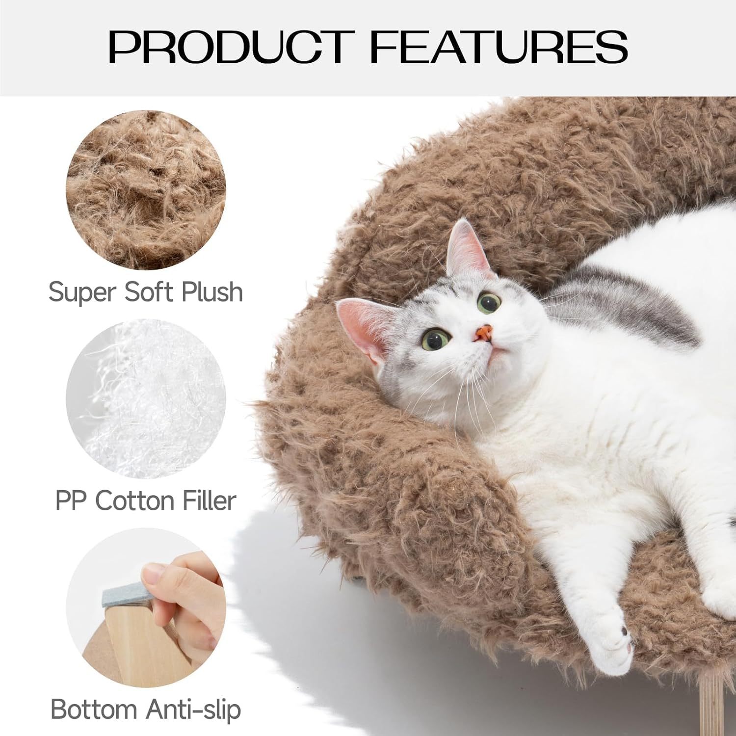 Cat Couch!