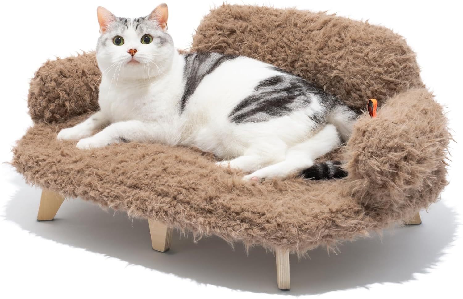 Cat Couch!